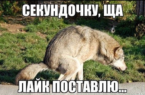 Снова Адам отличился