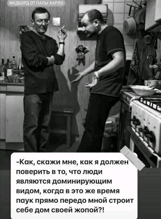 Картинки для деградации 86 (разной степени свежести)