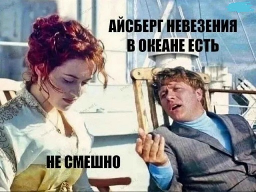 Мой кот