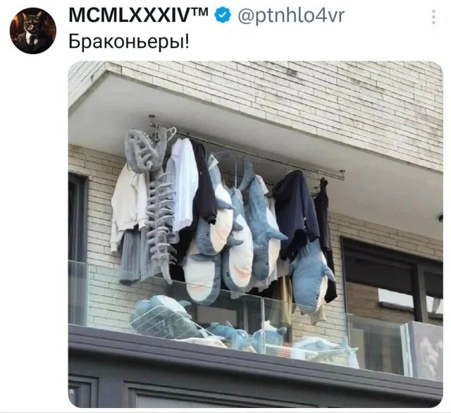 Среды картинки