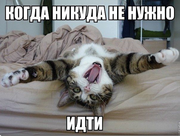 Тема для юмора