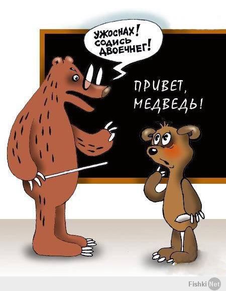 Грамматнасть и нтилехт вконтактовских обитателей