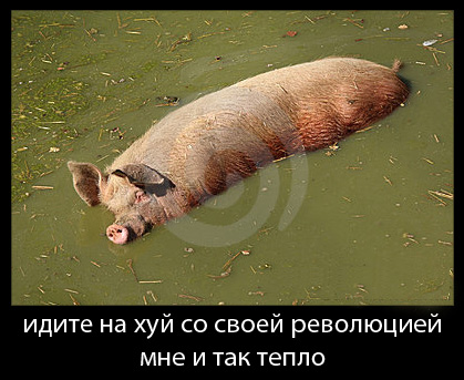 Покупай Российское — это легко!