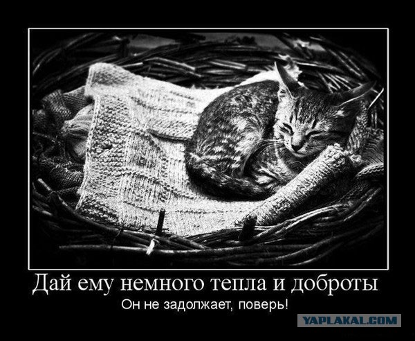 Давно демотиваторов не было
