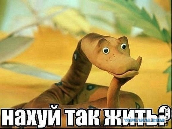 Производители косметики плачут по ночам