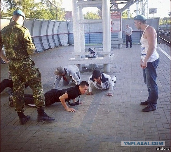 Анимированные картинки