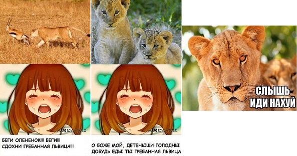 Она не кусается