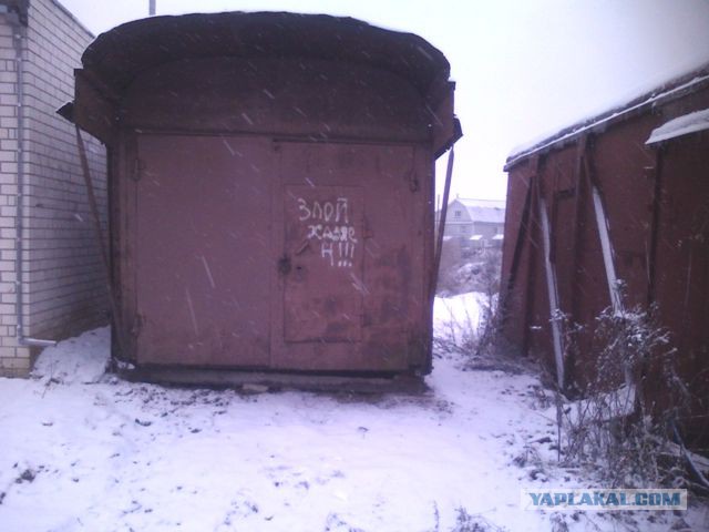 Забавные фотки из личной коллекции