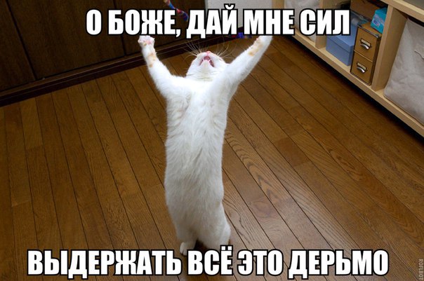 А давайте улыбнёмся