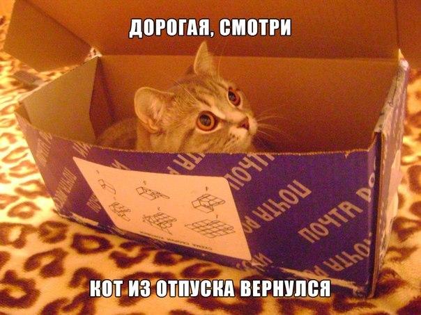 Мохнатые беспредельщики