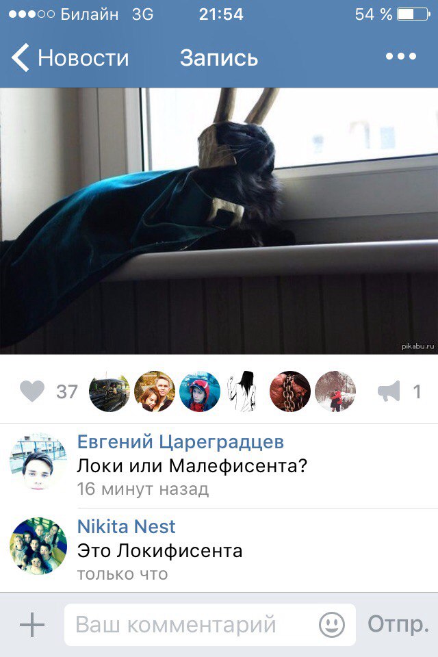 Ужасы и приколы из соцсетей 18+