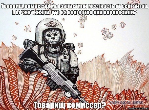 Церковный кот вышвырнул младенца–Христа из яслей