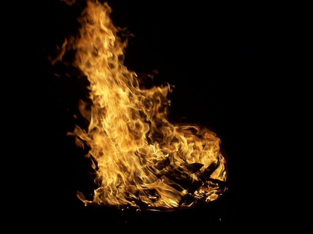 Пламя... Завораживает на генетическом уровне!