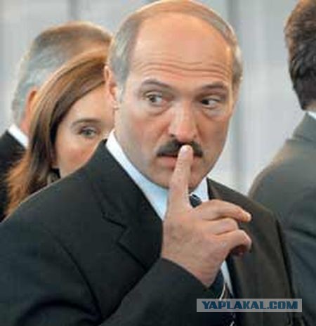 Лучшие фильмы о выживании в невероятных условиях