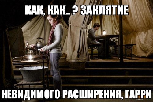 Выживание в лесу с женской сумочкой