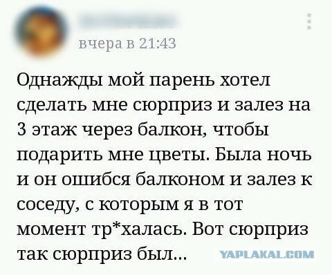 38 интересных и веселых картинок
