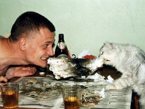 Алкоты