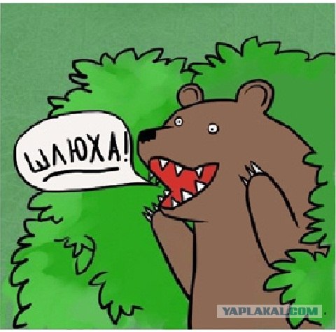 Что предлагают москвичи в обмен на интим?