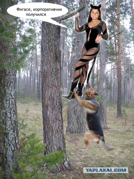 Фотожаба: Охотник и его верный пес