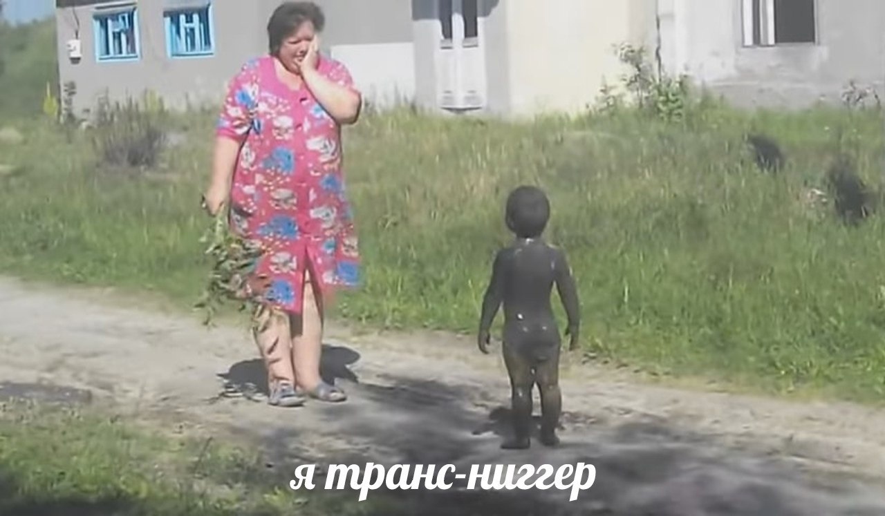 15780688.jpg