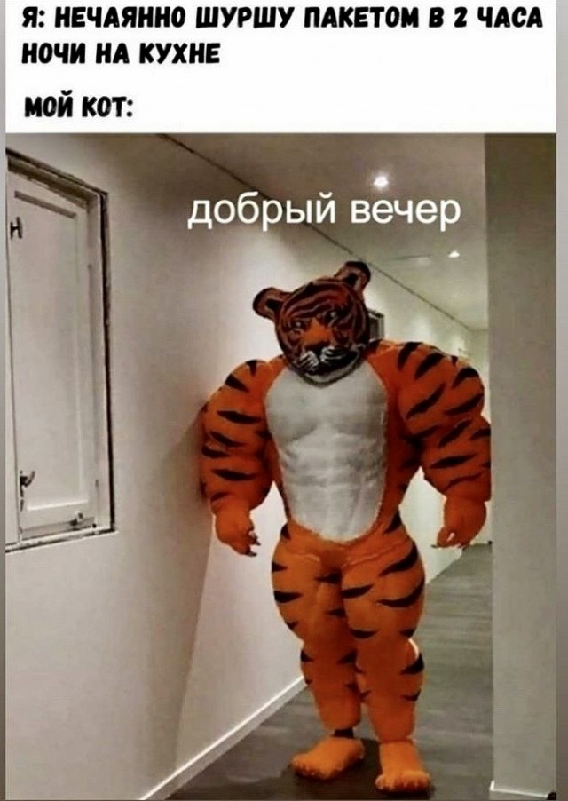 Волшебные слова