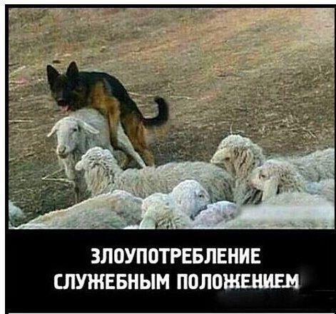 Картинки на выходные 25.12.21
