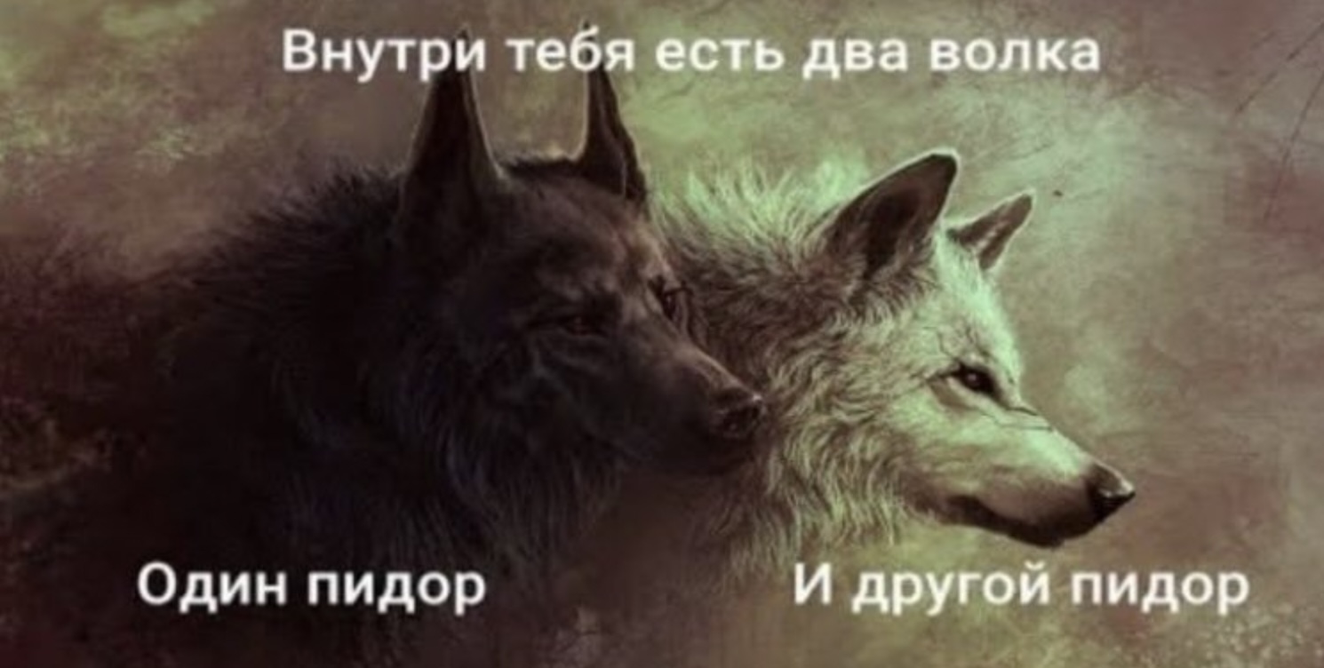 16423688.jpg