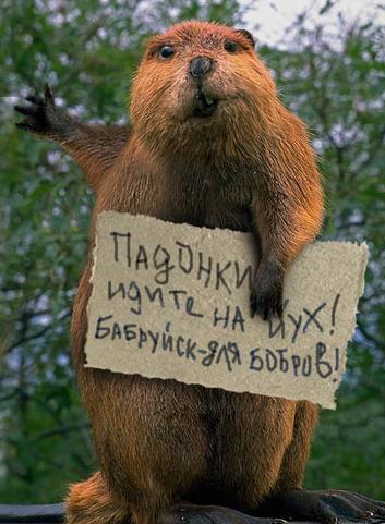 Велкам Батька, или все готово!