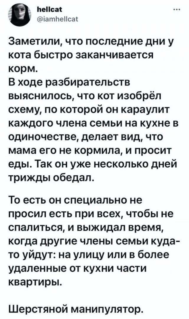 Немного разных картинок 13.05.23