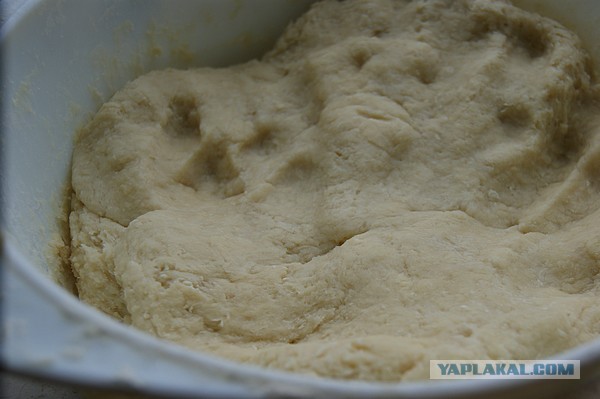 Пельмени жареные и паровые)), С нестандартными начинками