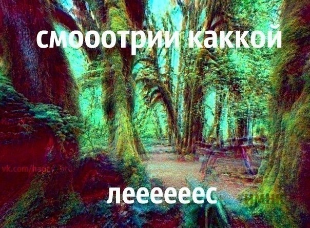 Немного наркомании и шизофрении в ленту. Часть 2