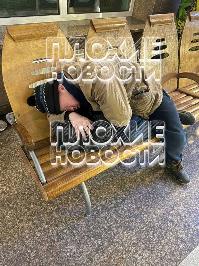 Убийцу кошки на Ласточкином гнезде задержали