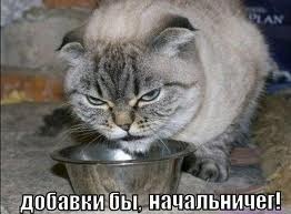 Ликбез по кошачьим породам.