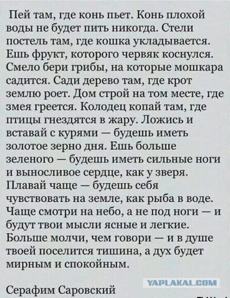 Так себе картинки 19.06.25