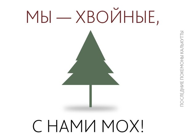 Лесные зарисовки