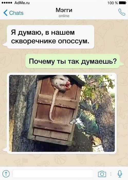 Картинки для деградации 72 (разной степени свежести)