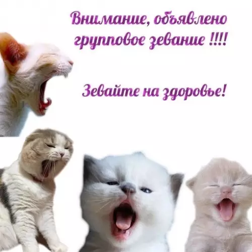 Картиночки, баянчики 05 марта