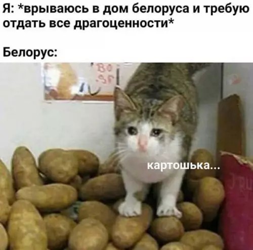 Картинки для деградации 180 (разной степени свежести)