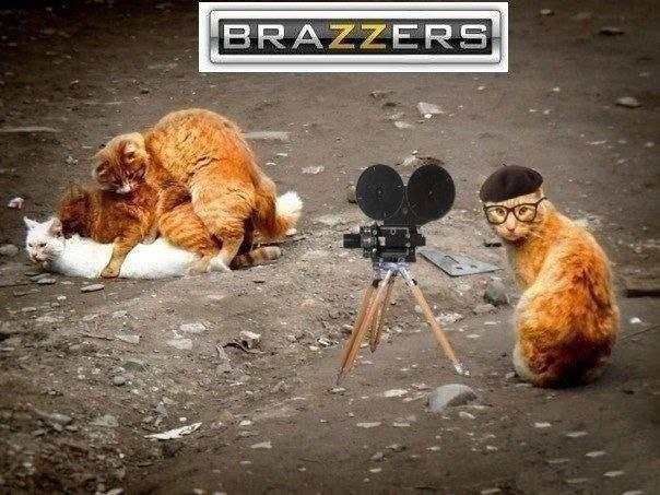 Не про олимпиаду