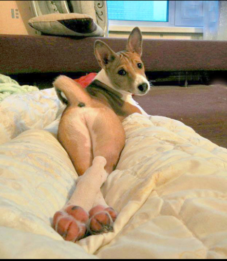 Смешные комментарии из социальных сетей.