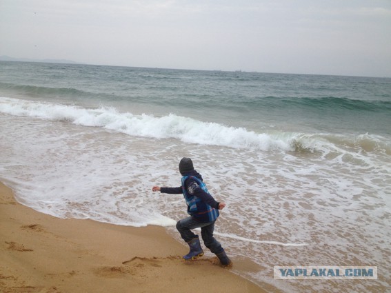 Природа Приморского края