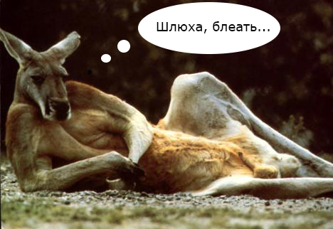 Натали нуждается в вашей помощи