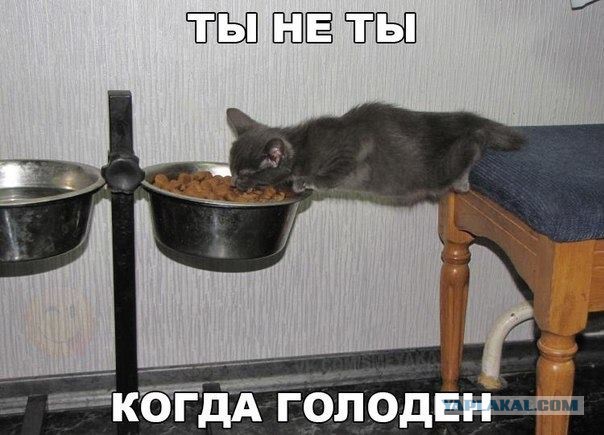 Подборка прикольных фото на пятницу