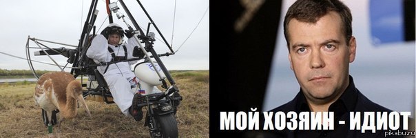 Путин с клювом в халате возглавил журавлиный клин