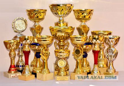 У меня грустные новости для соЯПовца. Слава Новиков тут есть?