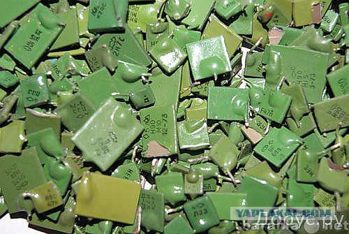 Сколько счастя привалило