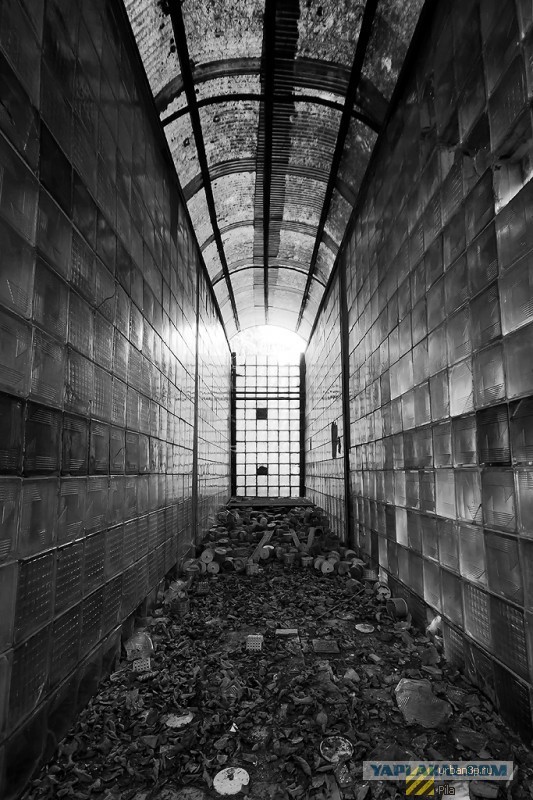 Артек, "ужасы" российской действительности