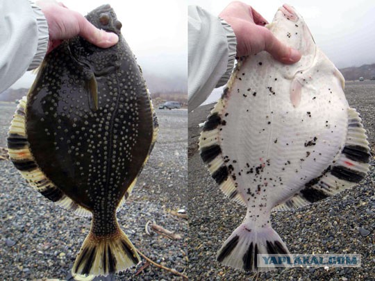 Магадан, старые и новые фотки