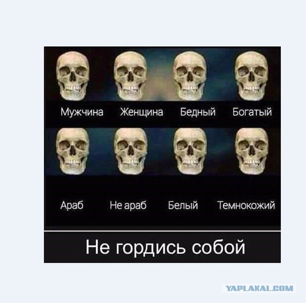 Смешные комментарии из социальных сетей 22.09.2017