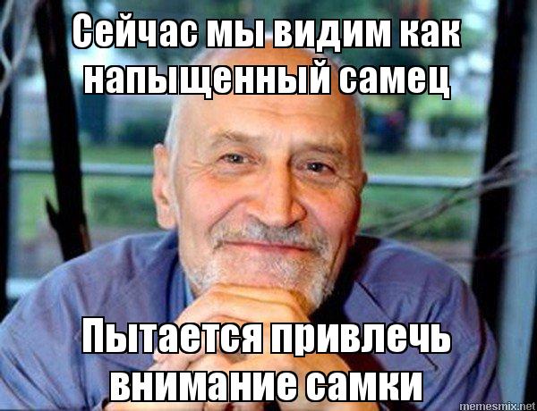 Тарзан в танце "занялся сексом с поклонницей". Его раскритиковали, а РПЦ призвала проверить выступление на порнографию